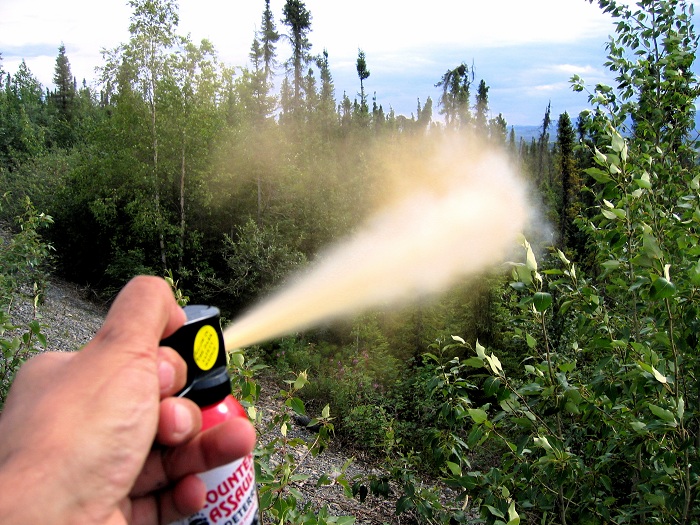 what is bear spray
